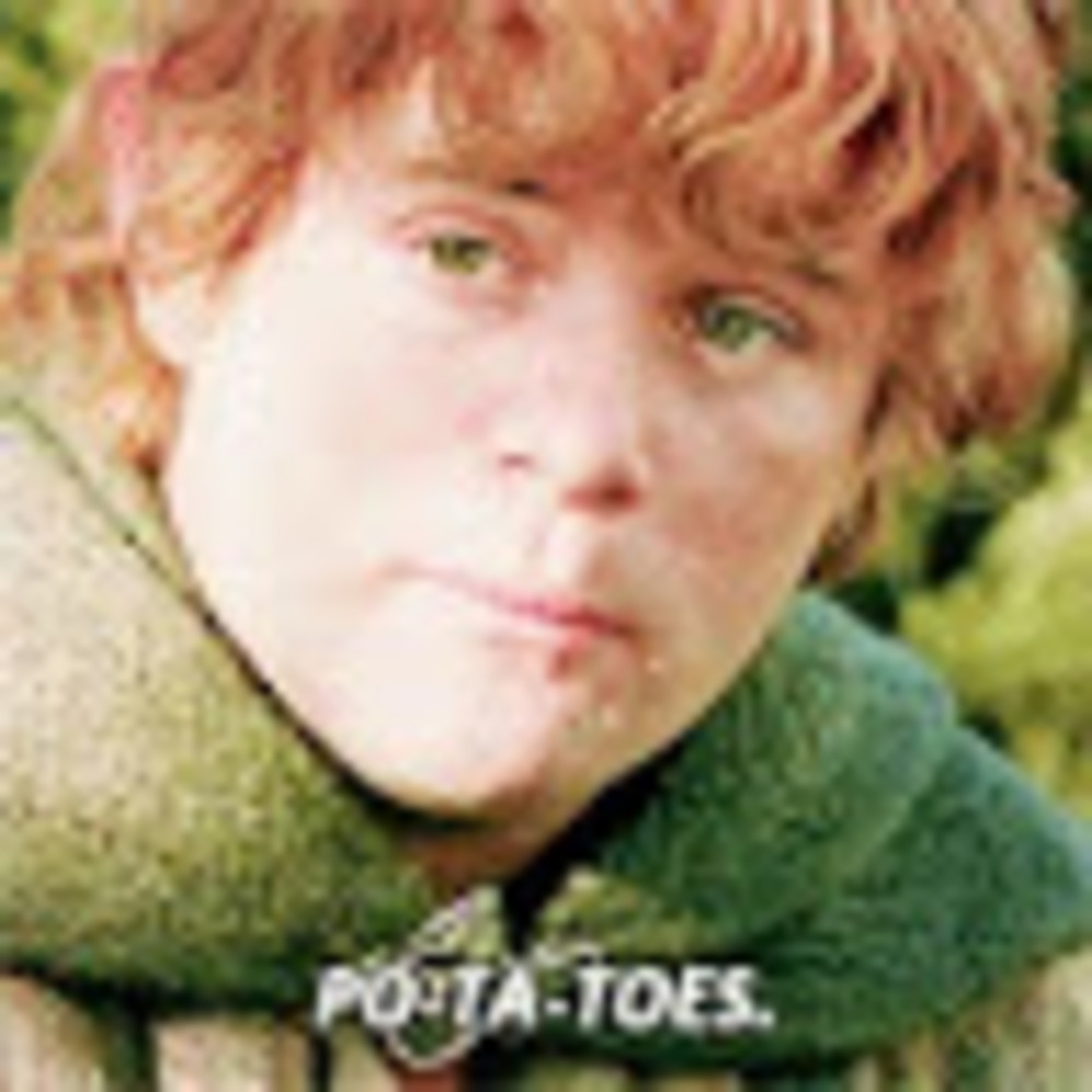 Meet your Posher, Samwise